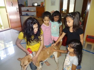 Pet Awareness Day at Anokhi Montessori